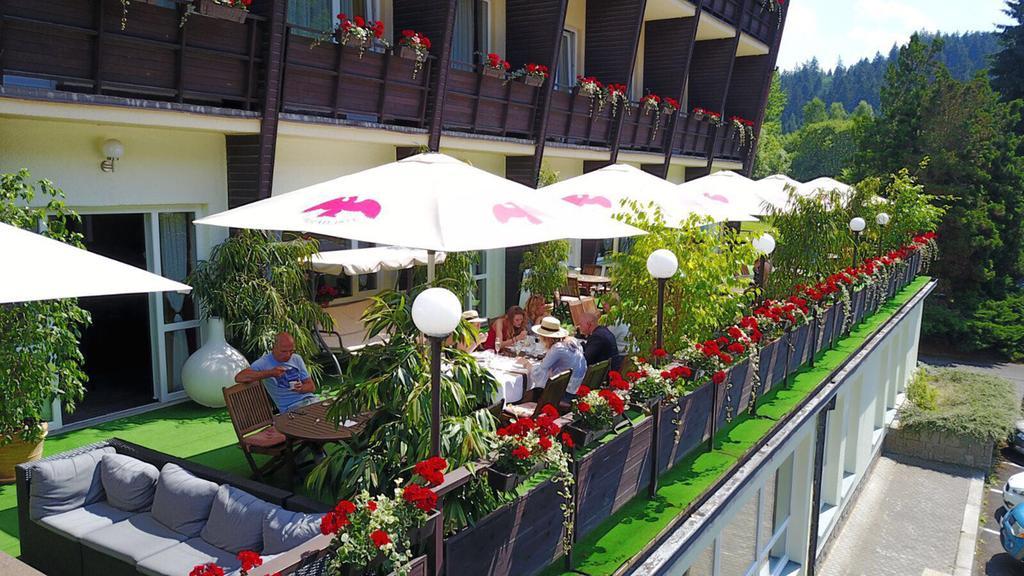 Wellness Hotel Green Paradise Pirkenhammer Extérieur photo